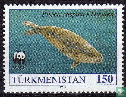 Kaspische zeehond