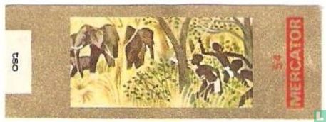 Chasse à l'éléphant en Tanzanie - Image 1
