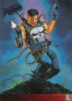 Punisher(team-ups) - Image 1