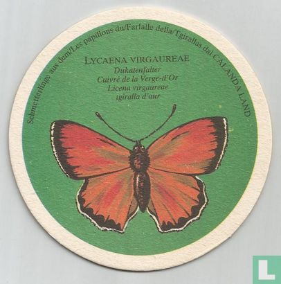 Vlinder: Lycaena Virgaureae - Image 1