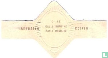 Gallo Romeins - Afbeelding 2