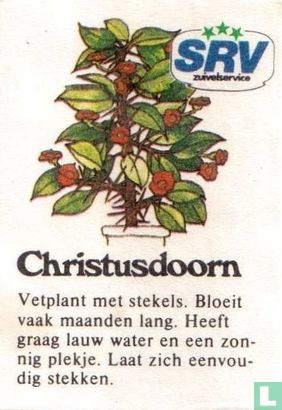 Christendoorn
