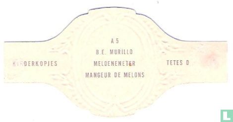 B.E. Murillo - Meloeneneter - Image 2