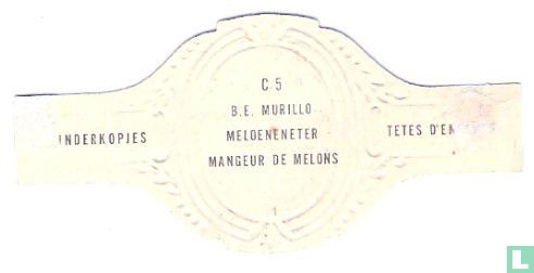 B.E. Murillo - Meloeneneter - Image 2