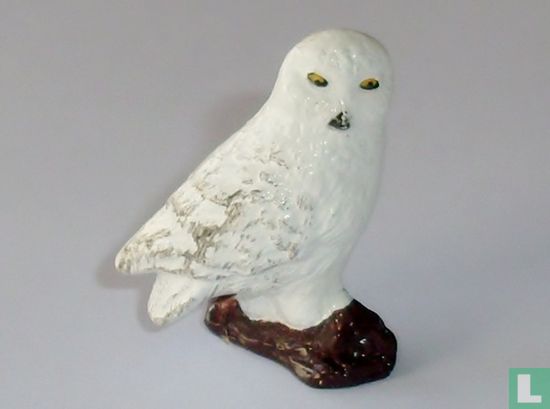 Snowy Owl - Image 1
