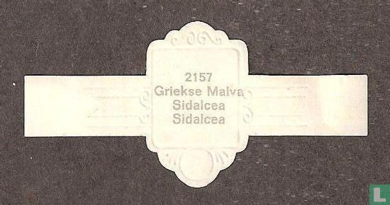 Griekse Malva - Sidalcea - Afbeelding 2