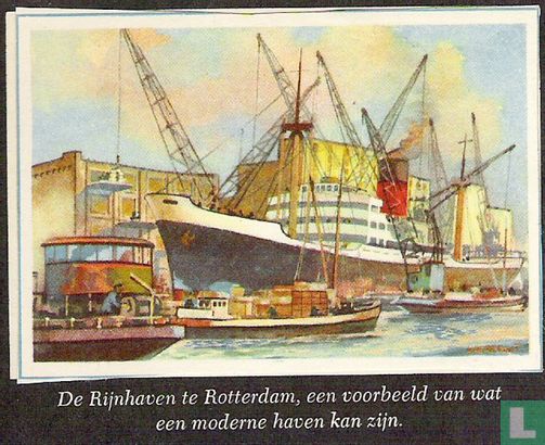 Rijnhaven Rotterdam