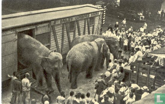 Ringling's olifanten verlaten bij aankomst van het circus hun speciale reiswagon - Afbeelding 1