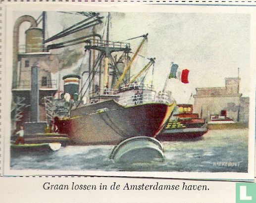 Graan lossen Amsterdam