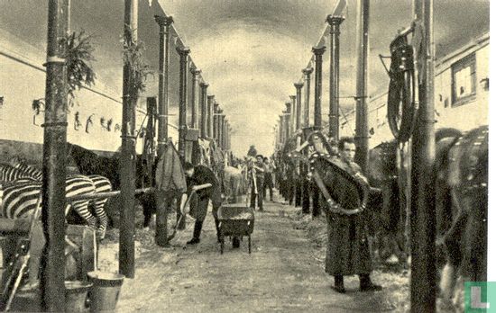 Strassburgers cavalerie in de historische stallen van Carré - Image 1