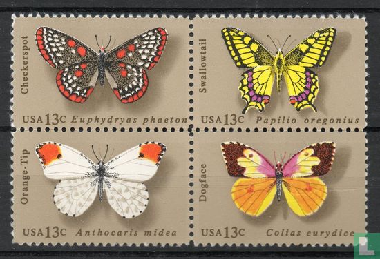 Schmetterlinge - Bild 1