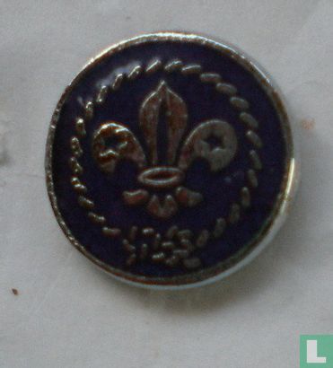 [Logo of the World Organization of the Scout Movement]