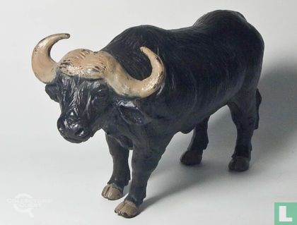 Kaapse Buffel