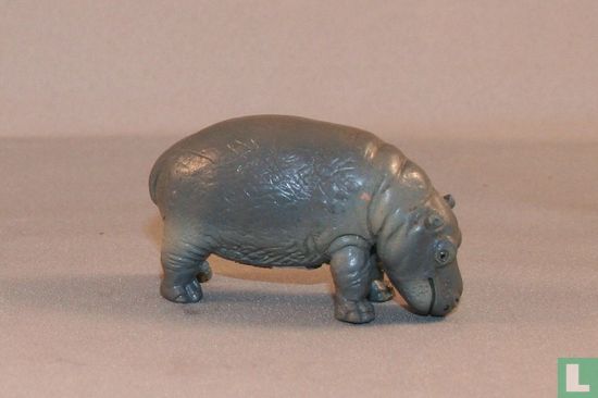 Bébé hippopotame - Image 1