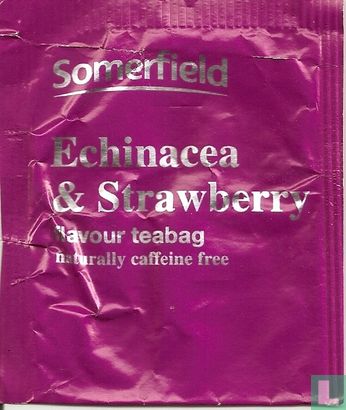 Echinacea & Strawberry - Image 1