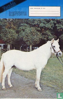 Ponyclub 138 - Afbeelding 2