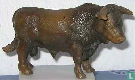 Brown bull