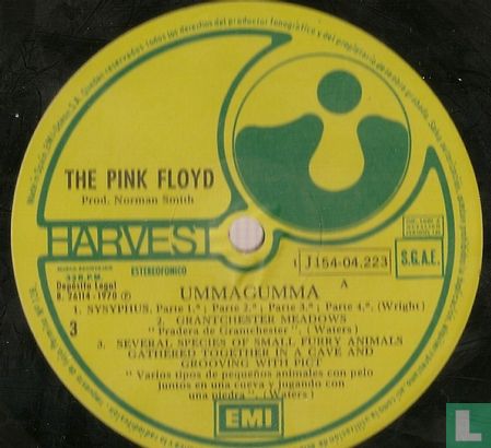 Ummagumma - Afbeelding 3