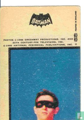 Batman and Robin - Afbeelding 2