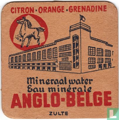 Mineraal water Eau minerale Citron - Orange - Grenadine