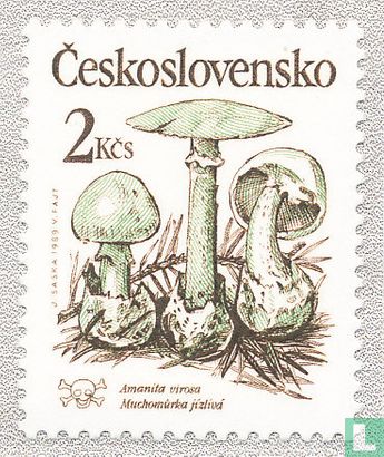 Giftige paddenstoelen  