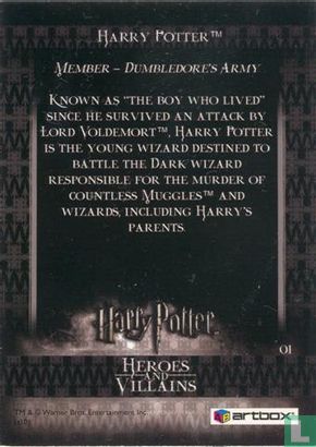 Harry Potter - Afbeelding 2