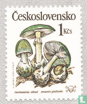 Giftige paddenstoelen  