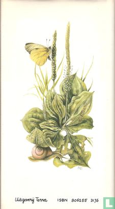 Klein herbarium - Afbeelding 2