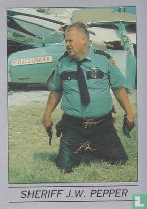 Sheriff J.W. Pepper - Afbeelding 1