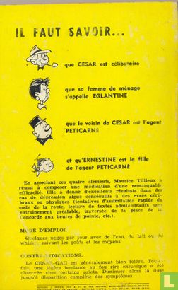 César - Image 2