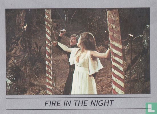 Fire in the night - Afbeelding 1