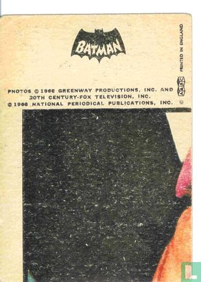 Batman and Robin - Afbeelding 2