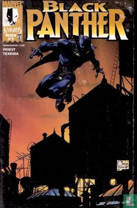 Black Panther 1 - Afbeelding 1