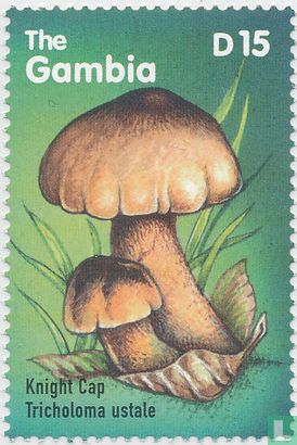 Afrikaanse paddenstoelen  