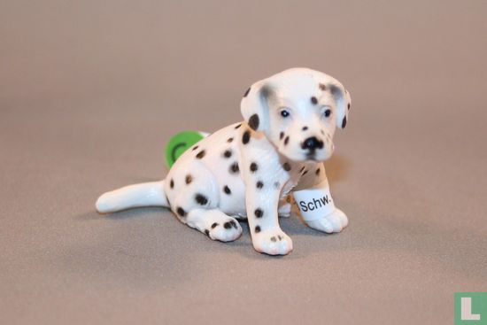 Dalmatian puppy - Image 1