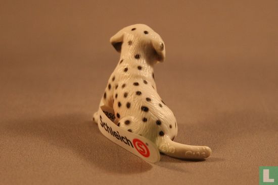 Dalmatian puppy - Image 2
