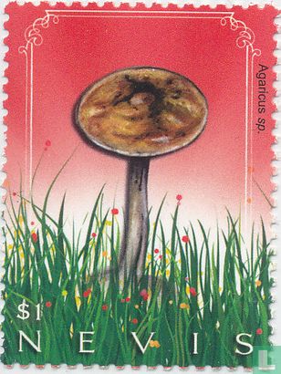 Pilze