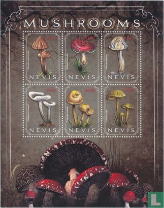 Champignons