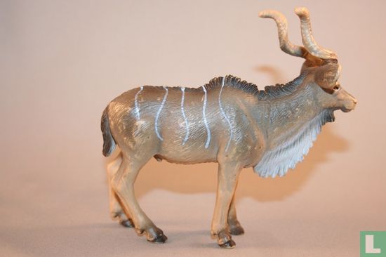 Kudu - Afbeelding 2