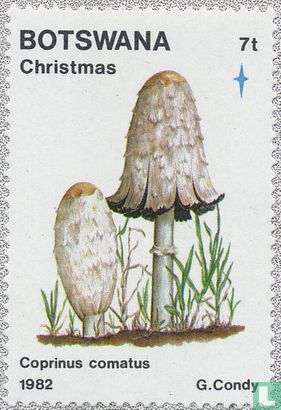 Kerstmis: paddenstoelen 