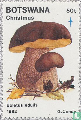 Christmas: mushrooms