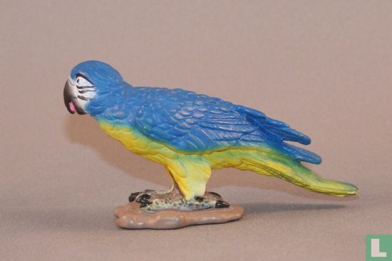 Papegaai blauw - Afbeelding 2