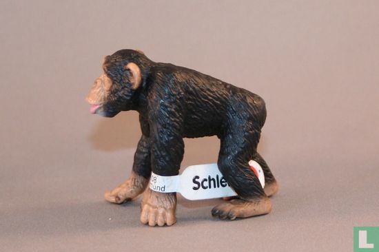 Chimpansee man - Afbeelding 2