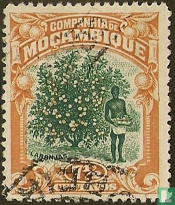 Orangenbaum