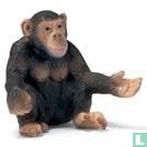 Chimpanzé femme assise