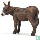 Poitou donkey