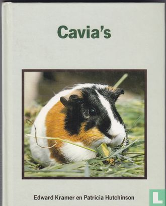 Cavia's - Image 1