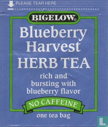 Blueberry Harvest  - Image 1