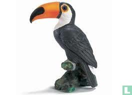 Giant Toucan