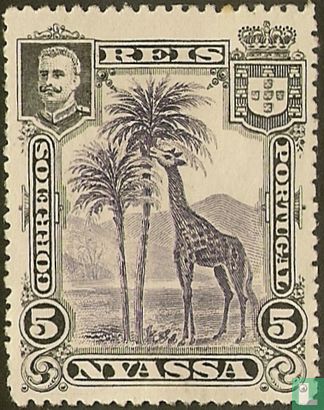 Giraffe and palm trees